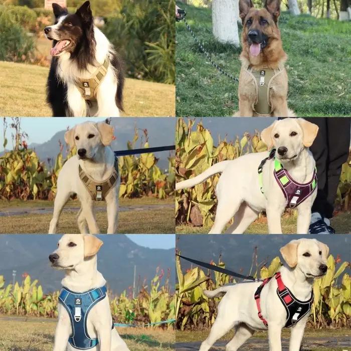 Harnais réfléchissant Oxford 1680D pour chiens de toutes tailles sécurité nuit accessoire animalerie durable élégant
