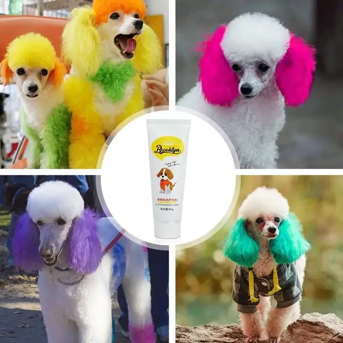 Crème colorante pour poils d'animaux de compagnie semi-permanente application facile pour chiens et chats avec couleurs vibrantes pour événements spéciaux