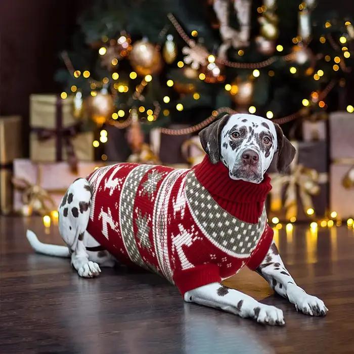 Pull de Noël en fibre pour chiens avec motifs rennes et flocons de neige pour animaux de compagnie, vêtements de vacances pour chiens de toutes tailles, pour Noël et fêtes
