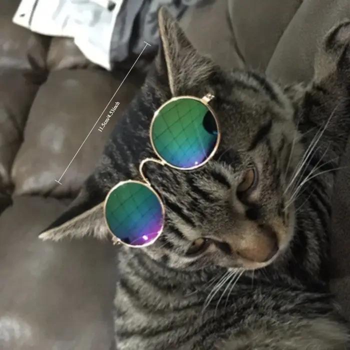 Lunettes de soleil pour animaux de compagnie de 11 cm pour petits chiens et chats