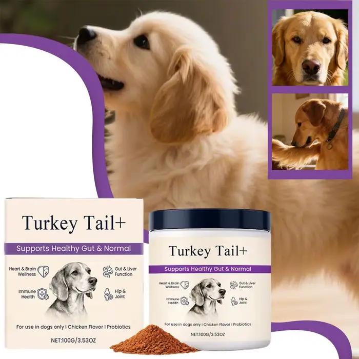 Poudre Probiotique pour Chiens Saveur Bacon Délicieuse Soutien Digestif Longue Durée de Conservation Supplément de Santé Premium pour Animaux de Compagnie