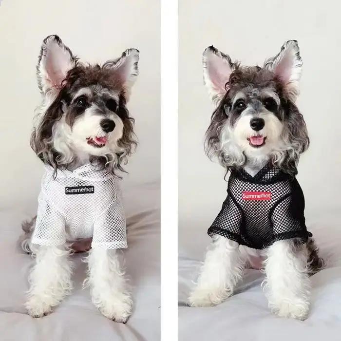 Sweat à capuche en maille pour chien, pull léger pour animaux de compagnie, vêtements pour petits et moyens chiens, pull Chihuahua, respirant, toutes saisons, chaud, été