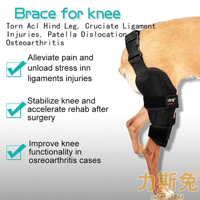Genouillère pour chien pour Acl déchiré