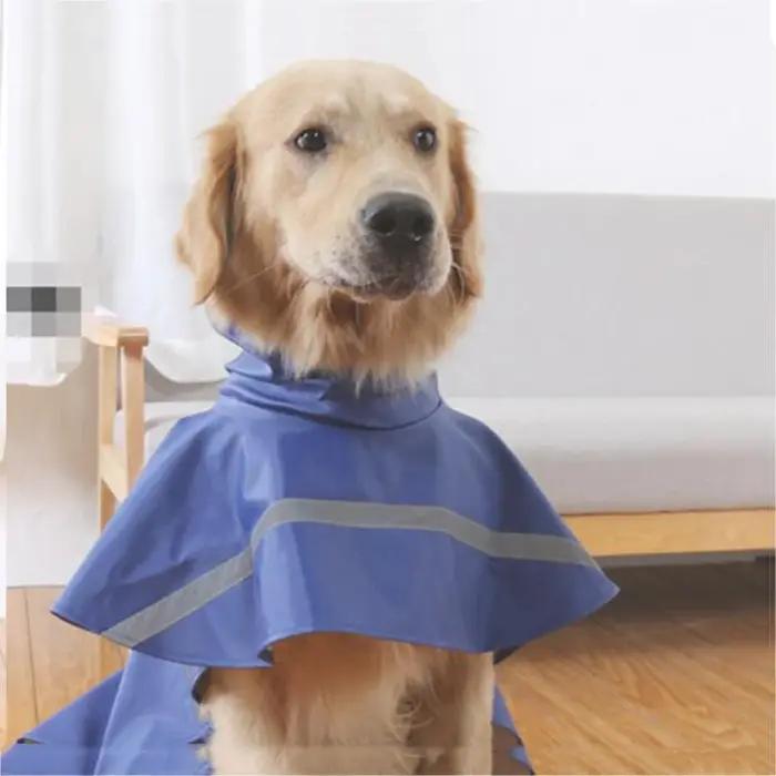 Grande veste pour chien imperméable