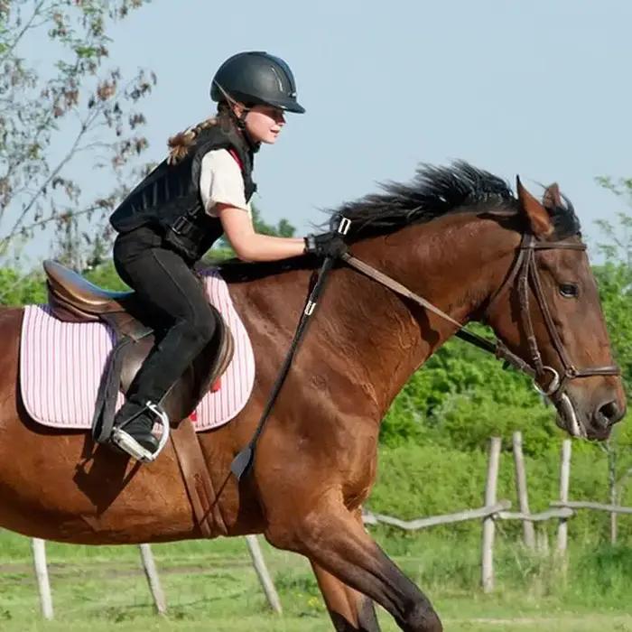 Fouet d'équitation avec poignée antidérapante
