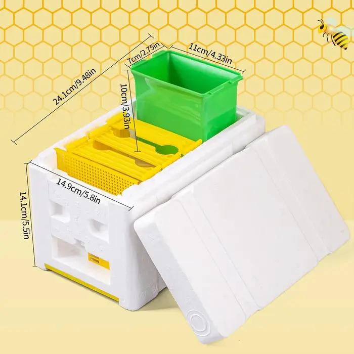Matériel d'apiculture : Boîte d'élevage de reines, Ruches de reproduction pour abeilles, Équipement complet de ruches Fomão, Kits complets de ruches