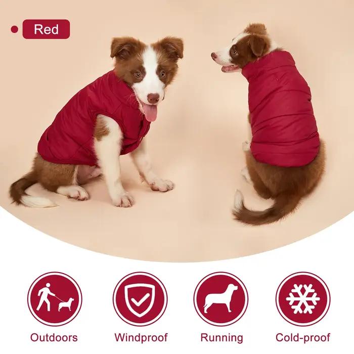 Vêtements d'hiver pour chiens