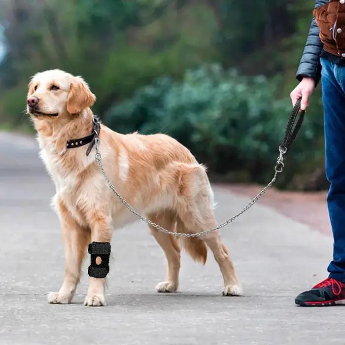 Protection des articulations et des genoux pour chiens et chats