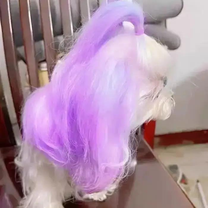 Crème de teinture pour animaux de compagnie semi-permanente haute pigmentation pour chiens et chats avec des couleurs vibrantes et lumineuses pour les sorties et cadeaux personnalisés