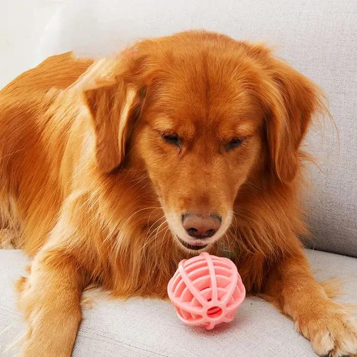 Jouet en TPR pour chiens résistant aux morsures pour nettoyage dentaire et entraînement interactif occasions spéciales