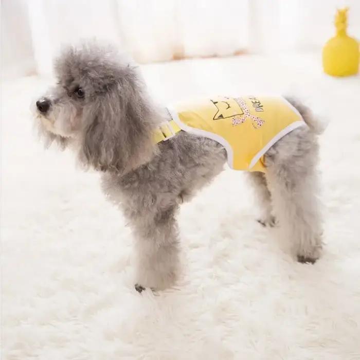 30 pièces couche-culotte pour chien pour femme