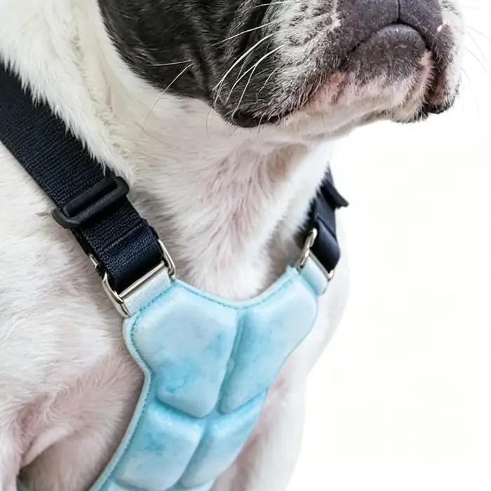 Gilet rafraîchissant pour chien