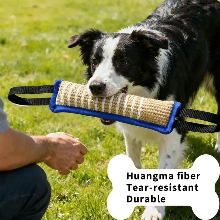 Produits d'entraînement pour chiens