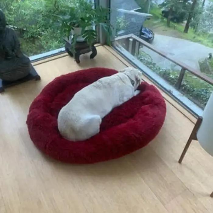 Lit orthopédique pour chien en forme de beignet