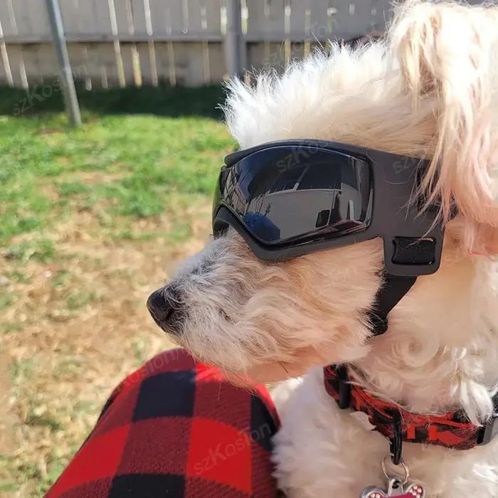 Lunettes de soleil pour chien de petite et moyenne taille