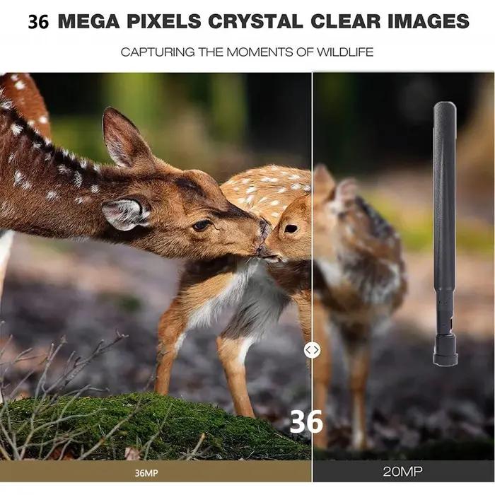 Caméra de chasse extérieure HC-801pro qualité d'image 4K 4G prise en charge de l'application vidéo en ligne