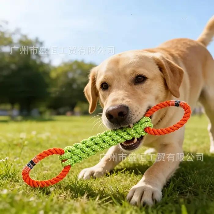Jouet pour chien en corde de coton à double anneau