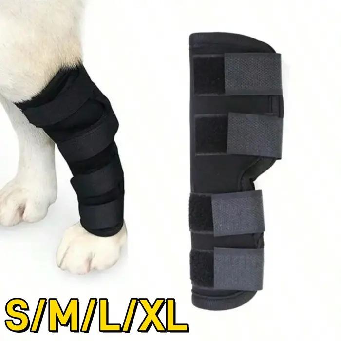 Genouillères de protection de coude pour chien