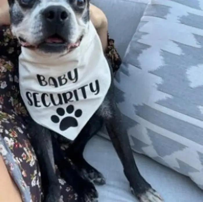 Bandana de sécurité noir et blanc pour bébé, écharpe d'annonce de grossesse, cadeau de douche de pho
