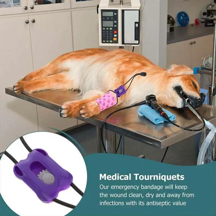 Tourniquet pour animaux de compagnie