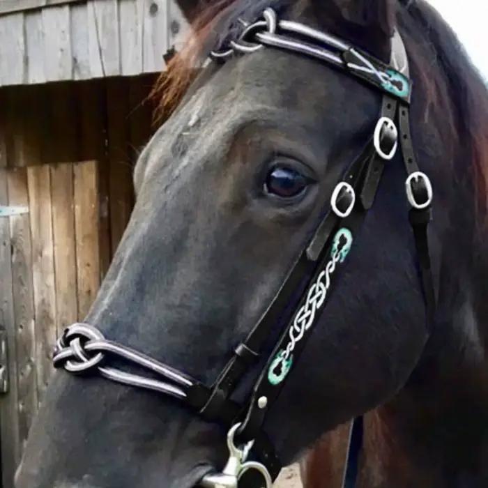 Bridon et Licol en Cuir PU avec Boucle Métallique pour Protéger la Peau du Cheval
