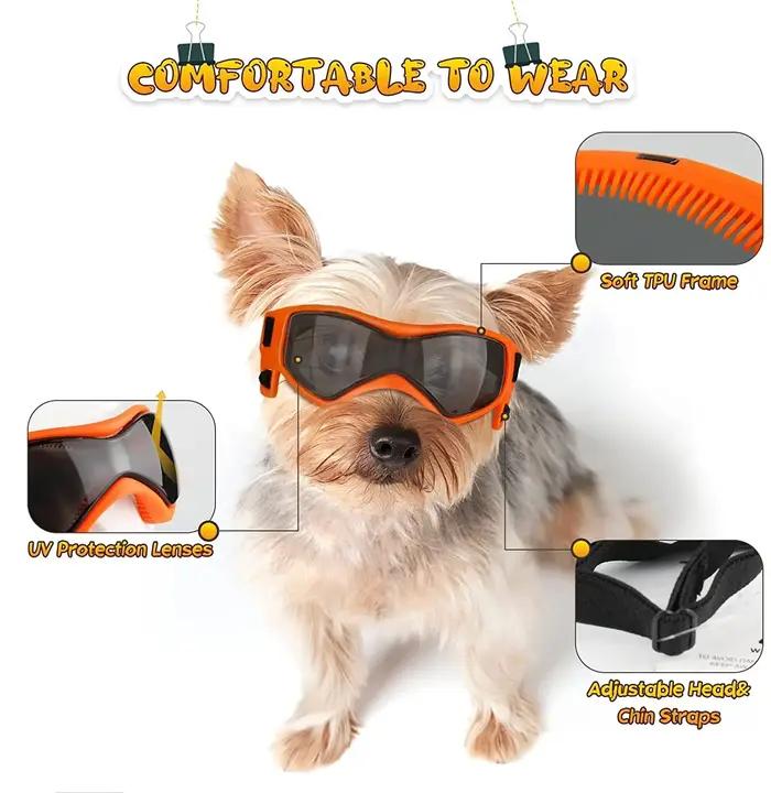 Lunettes de Protection UV pour chiens et chats