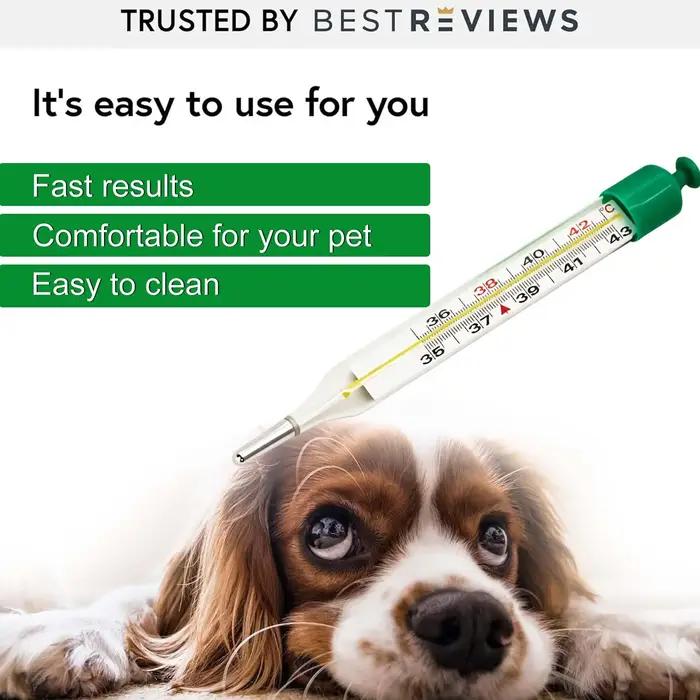 Thermomètre pour animaux de compagnie avec cordon extensible et clip pour la queue, capteur de température vétérinaire pour chiens, chats, chevaux, bovins, moutons, bétail d'élevage