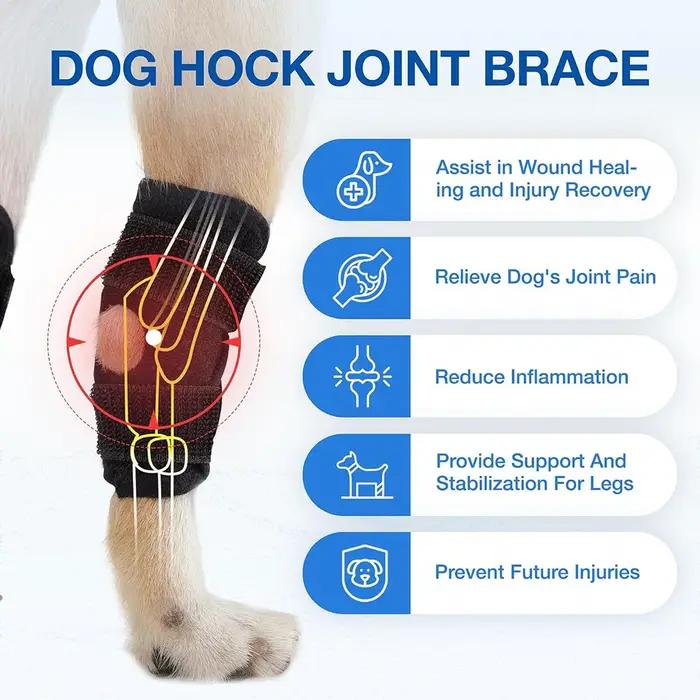 Accessoire de soutien pour l'articulation du genou et du pied pour chien occasionnelle récupération et protection articulaire confortable