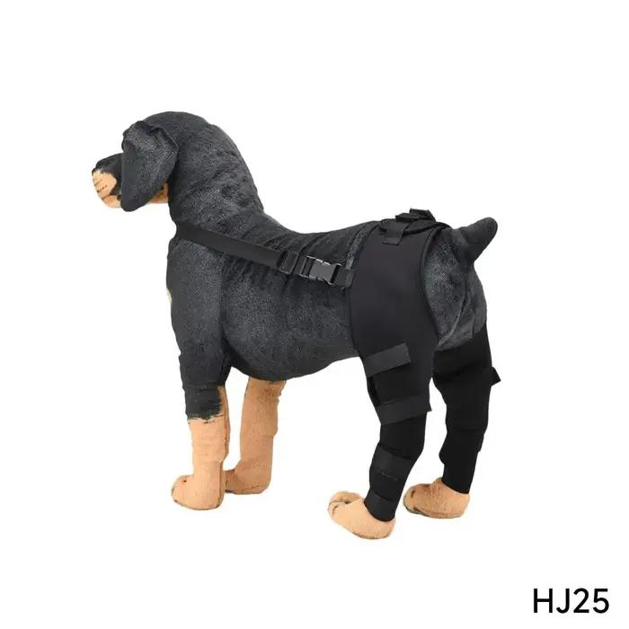 Attelle de soutien réglable pour genou de chien âgé
