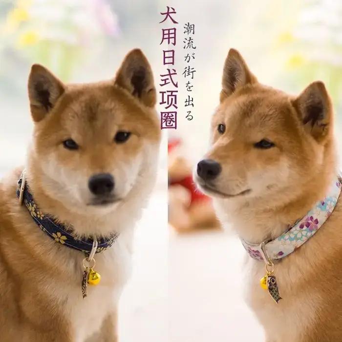 Colliers pour animaux de compagnie avec motif bronzé de style japonais pour chats et chiens de petite et moyenne taille élégants à offrir pour occasions spéciales