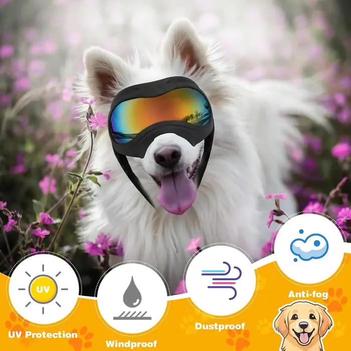 Lunettes de soleil pour chien