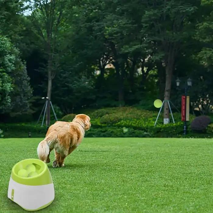 Lanceur automatique pour chiens - Jouet de poursuite - Machine à lancer des balles de tennis - Catapulte rechargeable USB - Occasions spéciales pour chiens