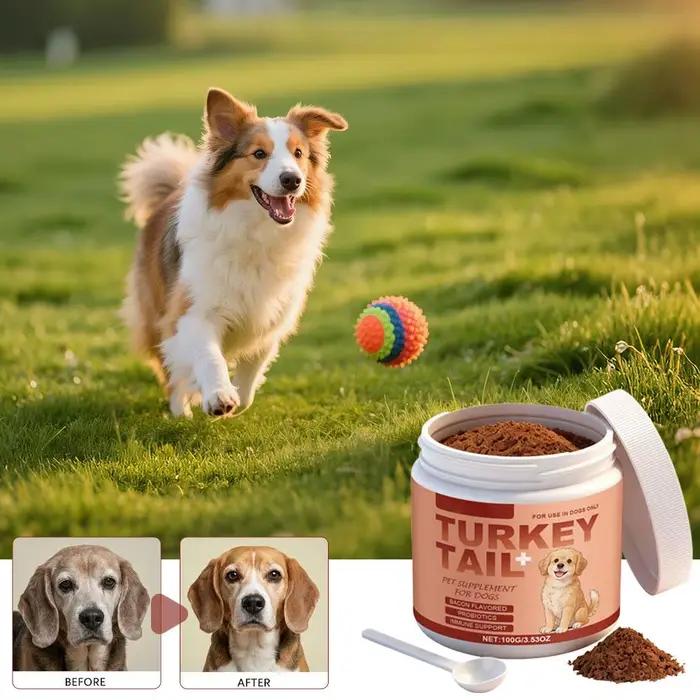 Complément alimentaire premium pour chiens de 100 g – Soutien immunitaire quotidien, favorise une fonction immunitaire saine pour toutes les races, facile à mélanger