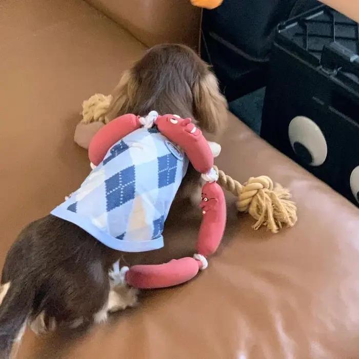 Jouet à mâcher pour chien en forme de saucisse