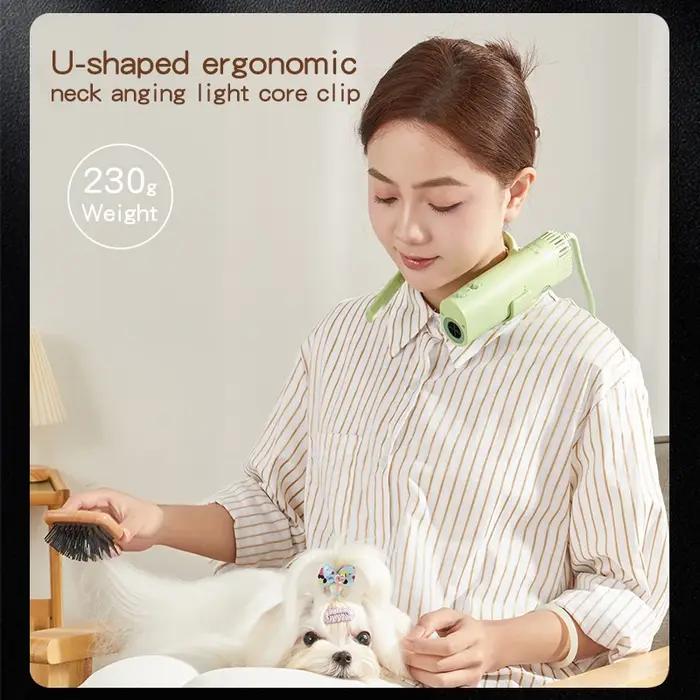 Sèche-cheveux de toilettage pour animaux de compagnie