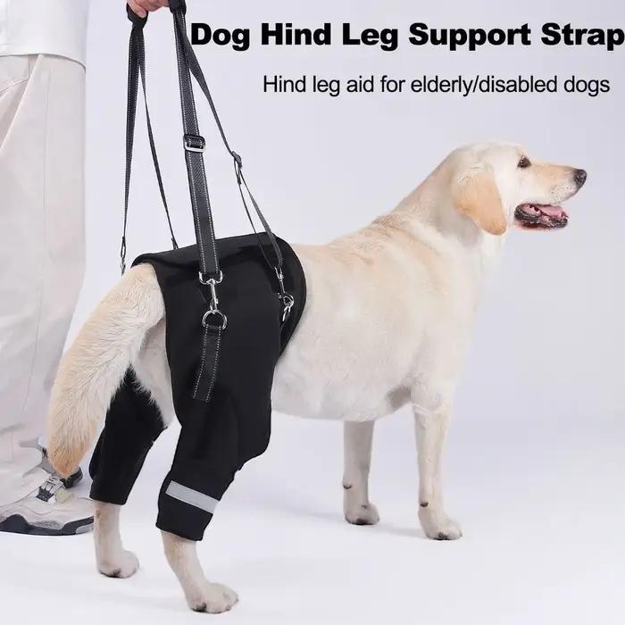Jambes Support de hanche harnais de levage pour chien poignée robuste noire outil d'aide aux animaux de compagnie bande