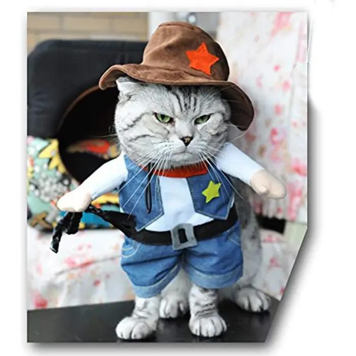 Costume d'Halloween amusant pour chien et chat