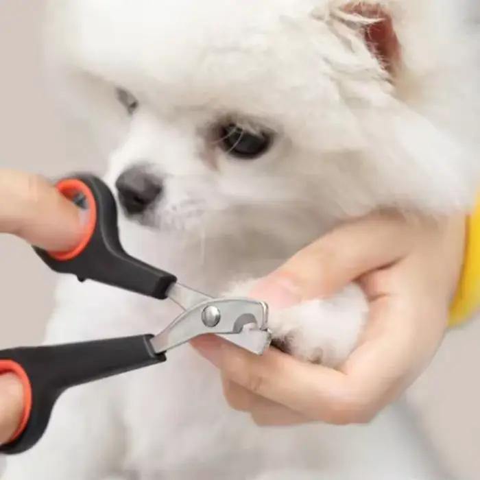 Coupe-ongles pour animaux de compagnie