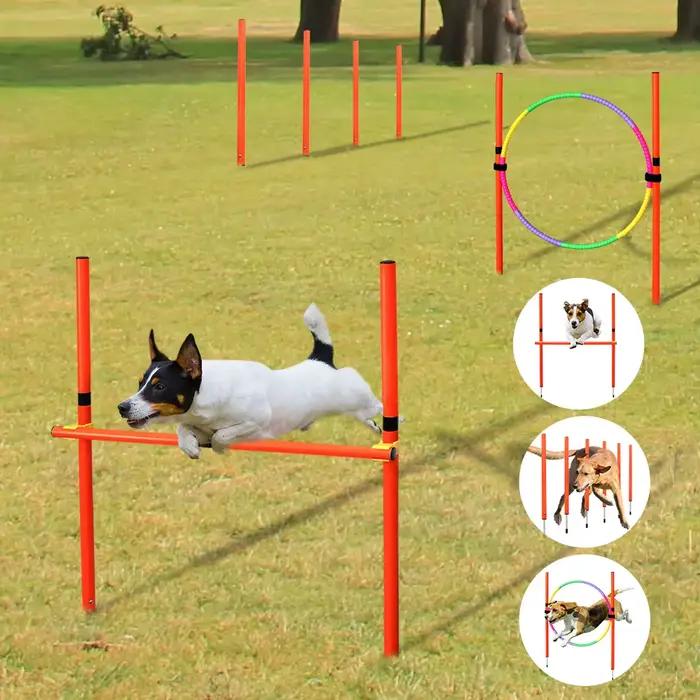 Équipement d'entraînement à l'agilité pour chien