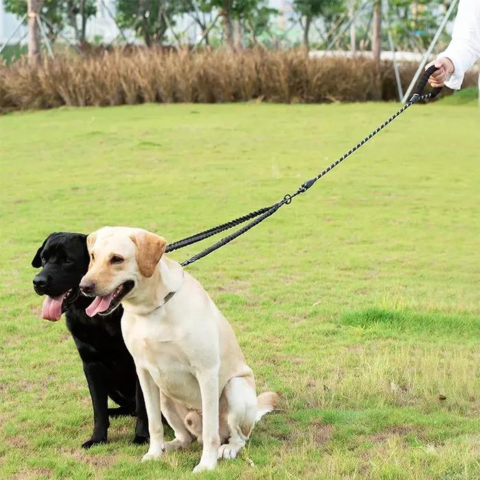Laisse double pour chien