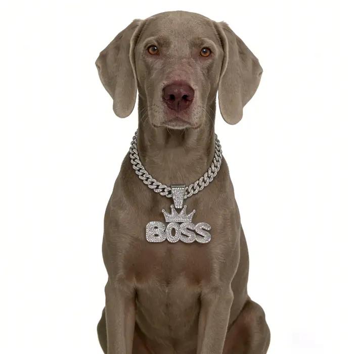 Collier pour chien en or