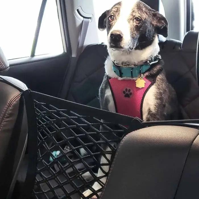 Filet de Protection d'isolation pour siège arrière de chien, clôture de voiture, filet de séparation de stockage élastique à Double couche, Rail de sécurité pour animaux de compagnie, fournitures pour