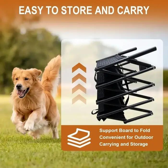 Rampe pour chien pour marches pour animaux de compagnie avec échelle portable légère et durable pour un accès facile