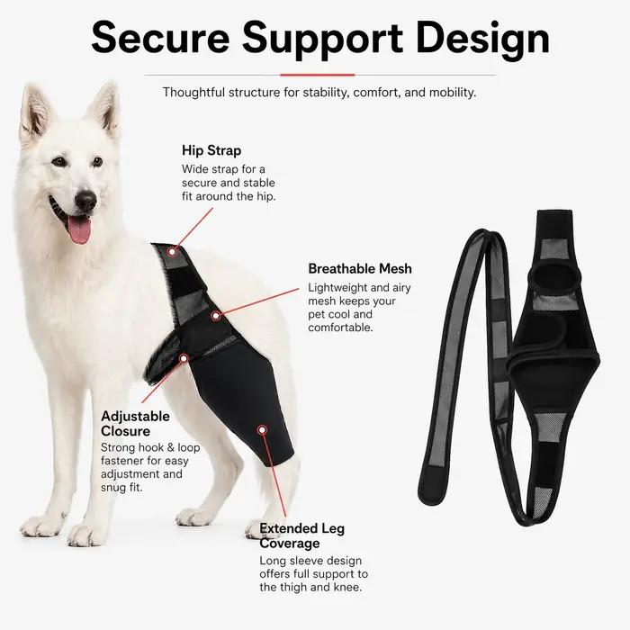 Attelle de soutien arrière pour chiens stabilisateur réglable avec sangle de hanche pour récupération arthrite boiterie post-opératoire occasions spéciales chiens