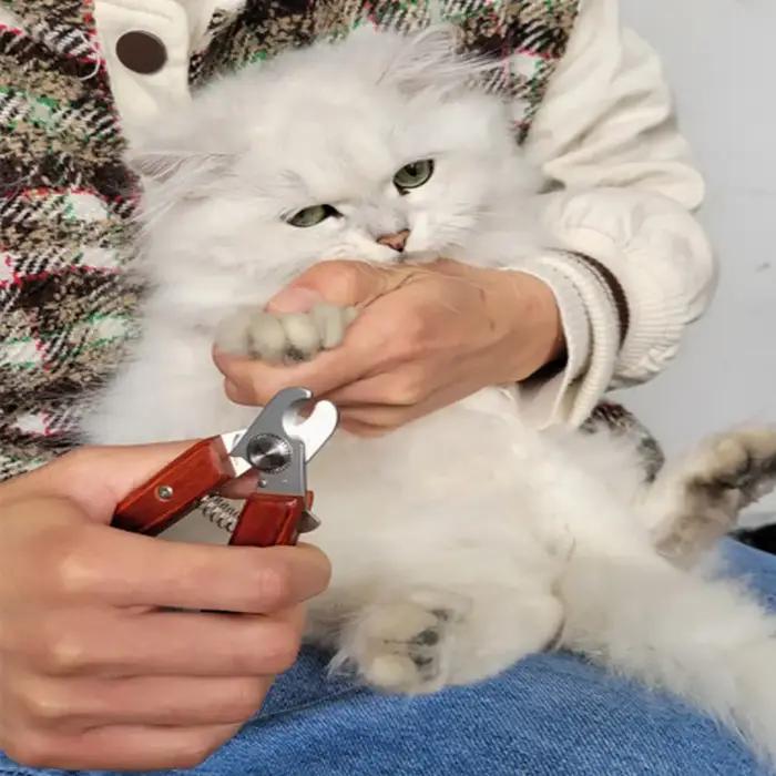 Coupe-ongles pour animaux de compagnie à manche en bois