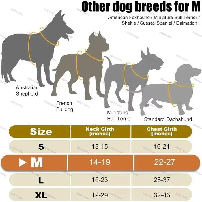 Harnais lumineux LED pour chien avec bandes réfléchissantes, modes d'éclairage multiples, adapté pour toutes les saisons et tous les chiens