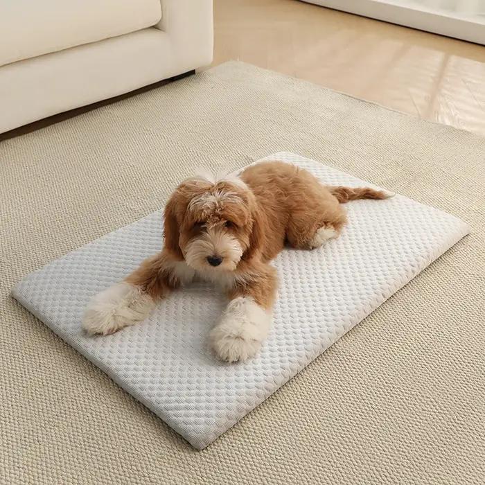 Nouveau tapis rafraîchissant en soie glacée pour animaux de compagnie, épais et respirant, coussin d