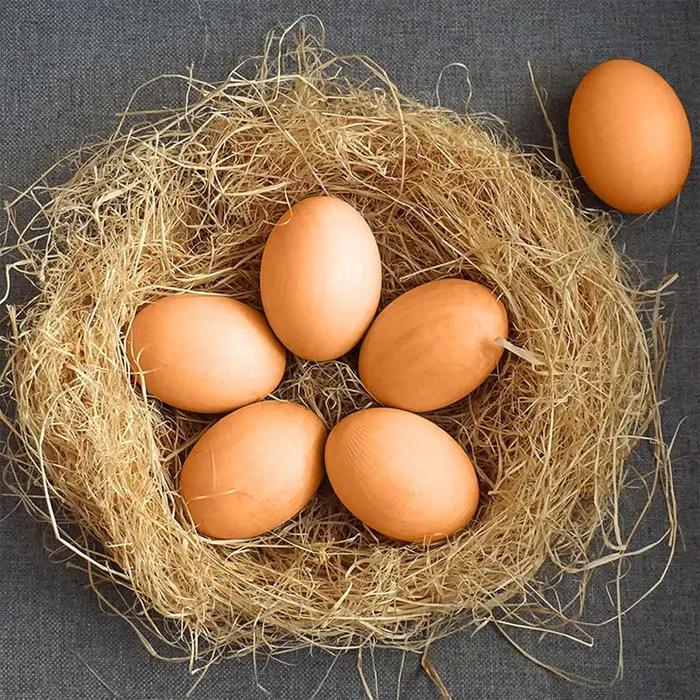 Simulation d'œufs de pâques en bois, 6 pièces, fausses œufs de poule, aide aux poules, outil agricole pour accessoires de nidification de poulet