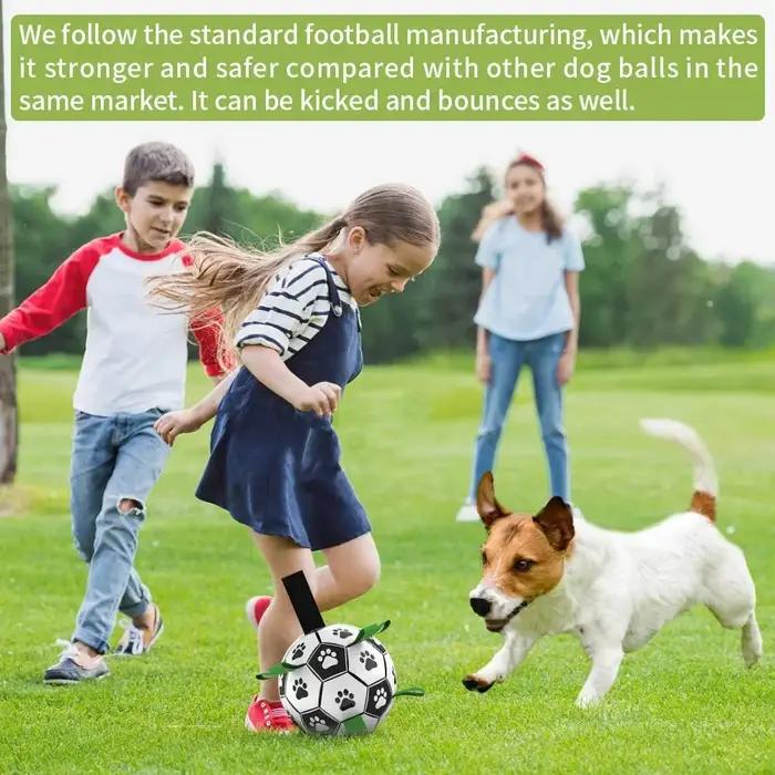 Jouet en cuir pour chien avec languettes à saisir, balles de football interactives pour chiens, jeux de plein air et d'eau, cadeau pour animaux de compagnie