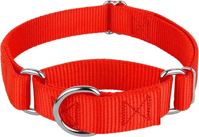 Collier Martingale pour chiens de petite à grande taille, collier d'entraînement réglable en nylon robuste semi-étranglant pour chiens de traction